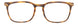 MTR - Matte Tortoise