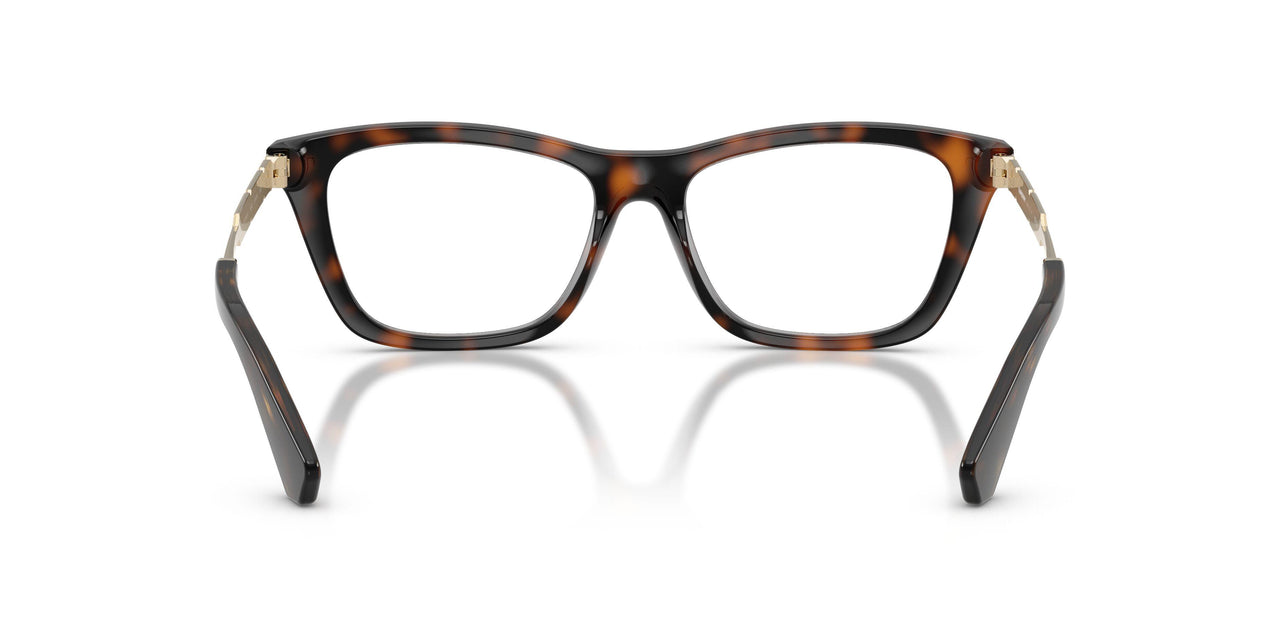 3002 - Brown