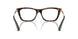 3002 - Brown