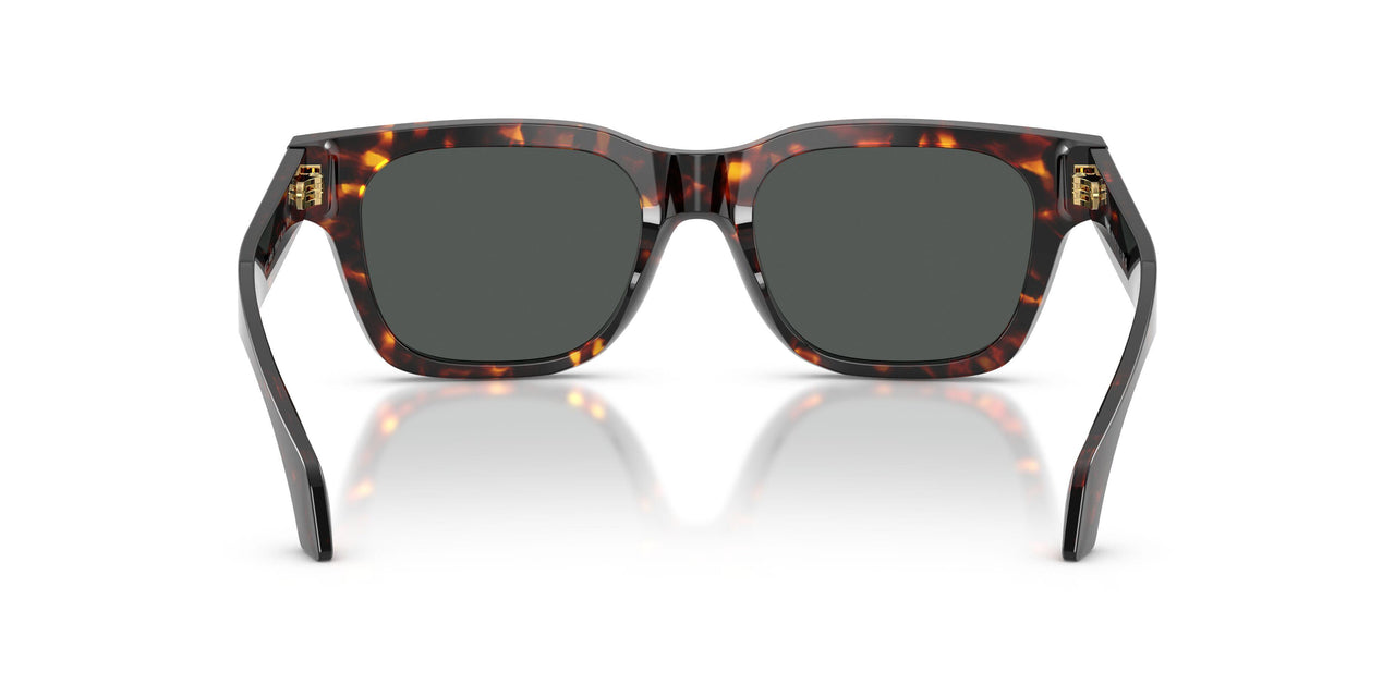550987 - Tortoise - Dark Grey