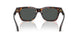 550987 - Tortoise - Dark Grey