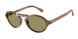 616314 - Tortoise - Green