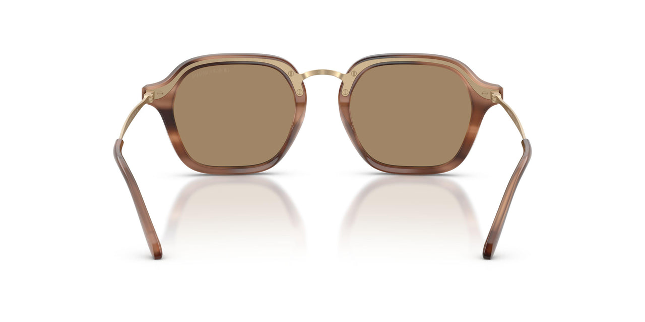 646573 - Brown - Dark Brown