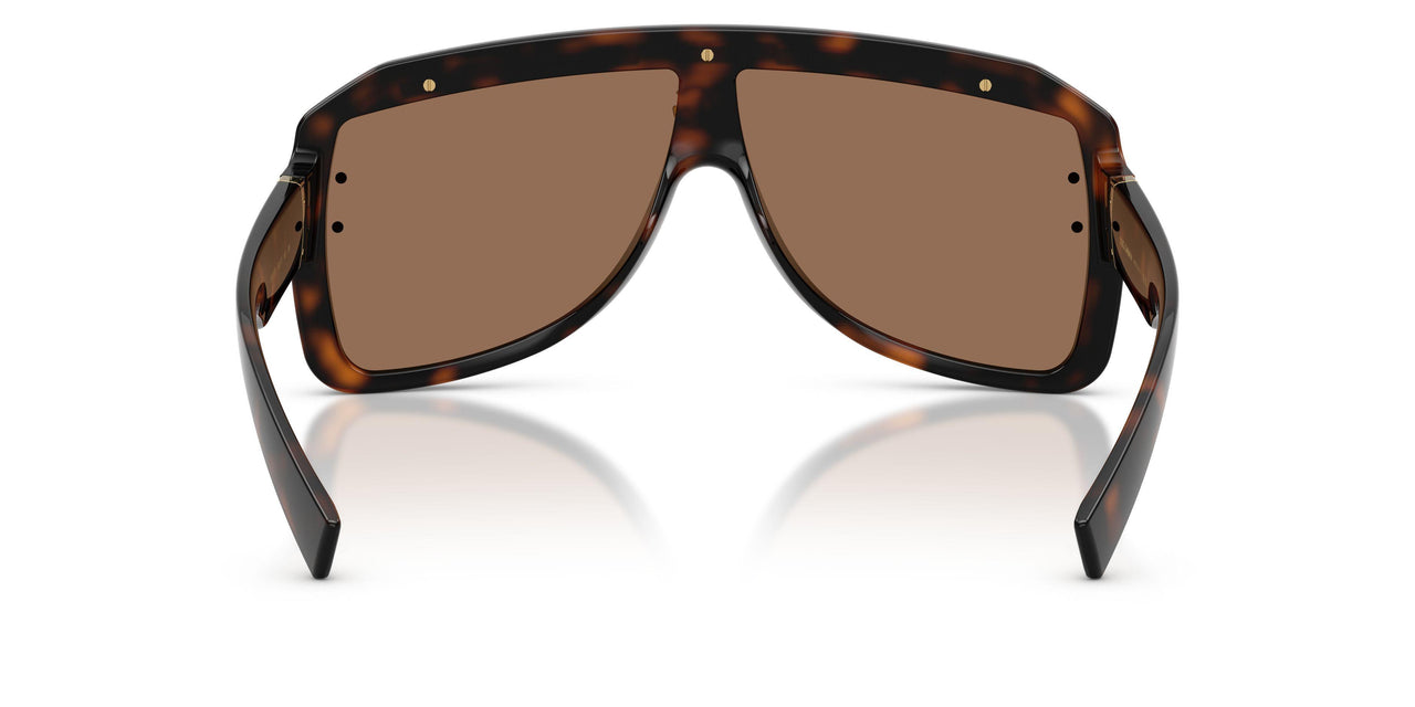 502/73 - Tortoise - Dark Brown