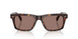 100953 - Tortoise - Sierra