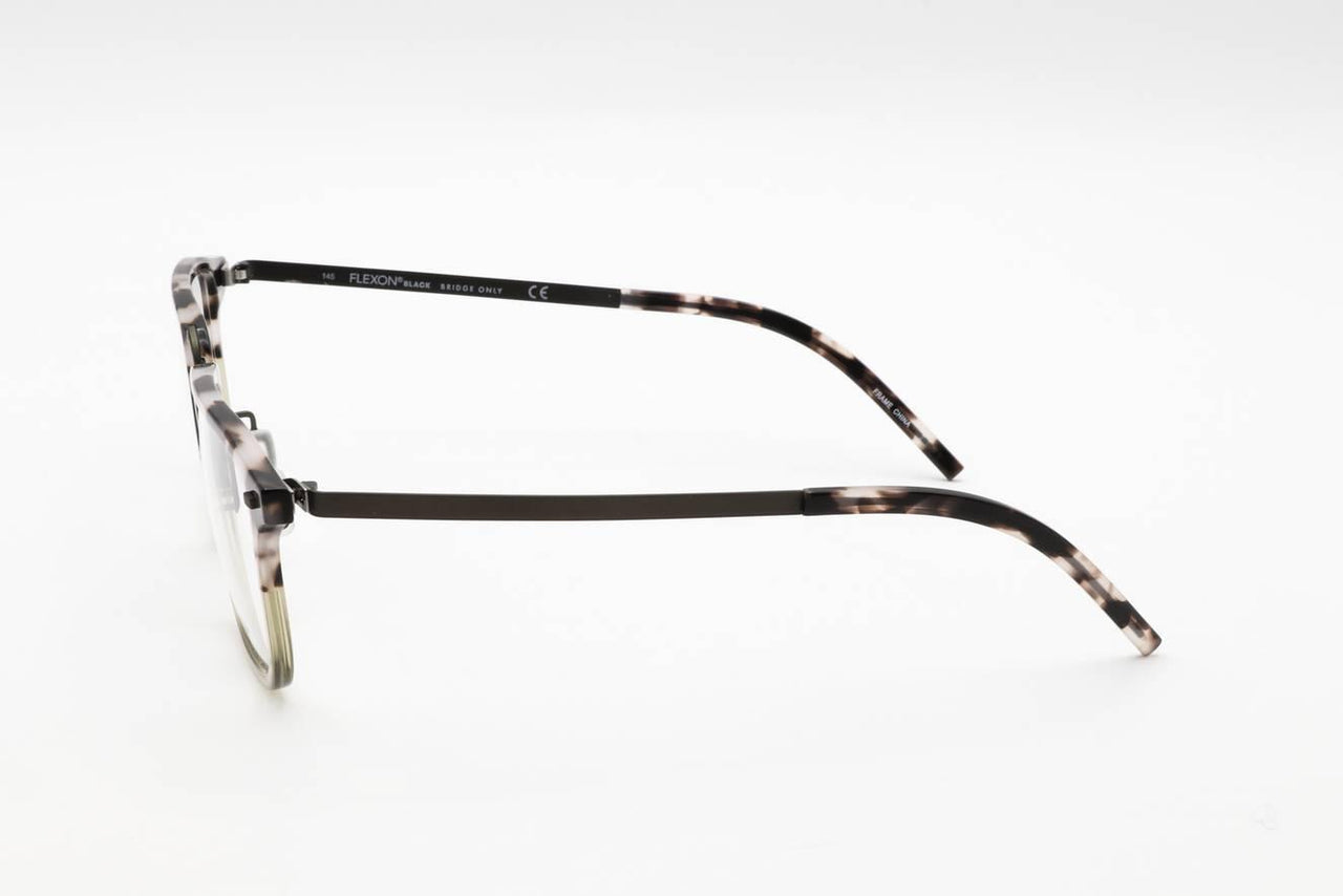 340 - SHINY OLIVE TORTOISE