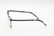 340 - SHINY OLIVE TORTOISE