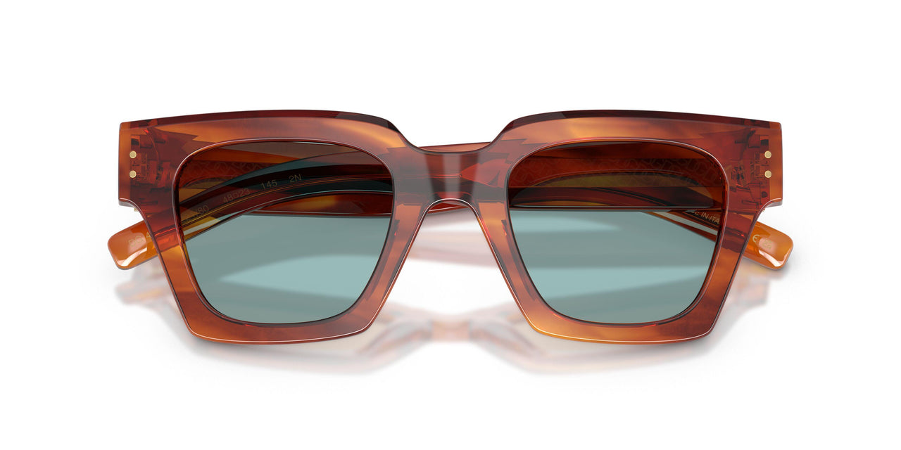 322180 - Tortoise - Blue