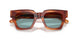 322180 - Tortoise - Blue