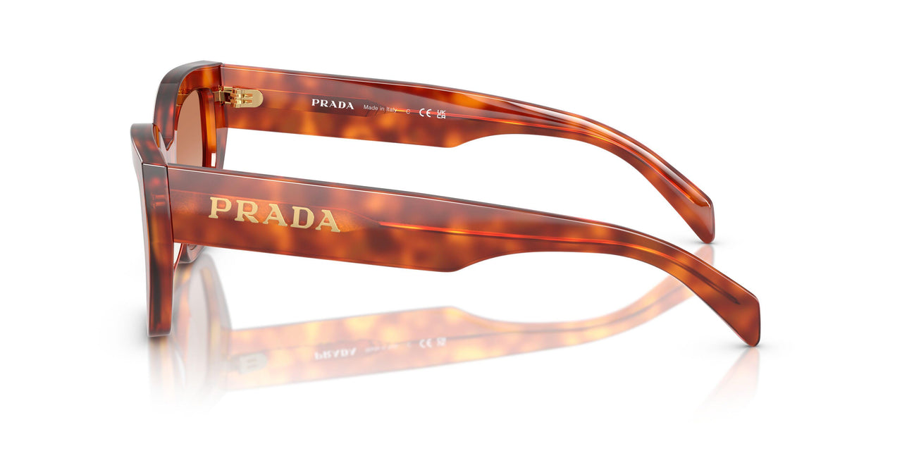 11P70E - Brown - Brown Gradient