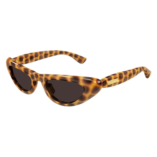 002 - Havana - Brown