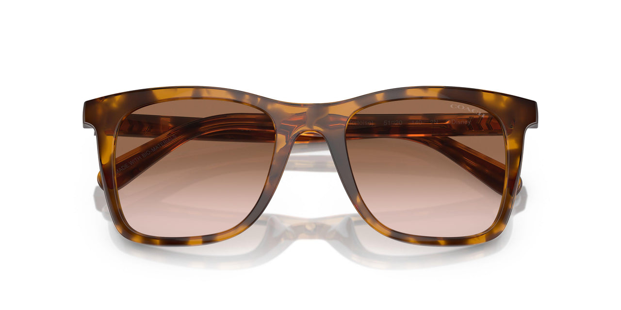 512013 - Tortoise - Brown Pink Gradient