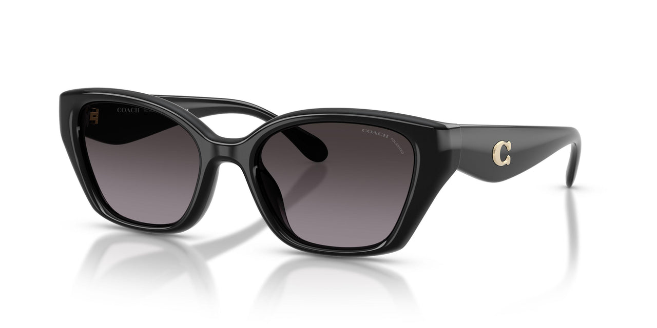 5002F4 - Black - Grey Gradient Polar