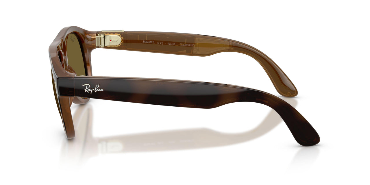 690573 - Tortoise - Dark Brown
