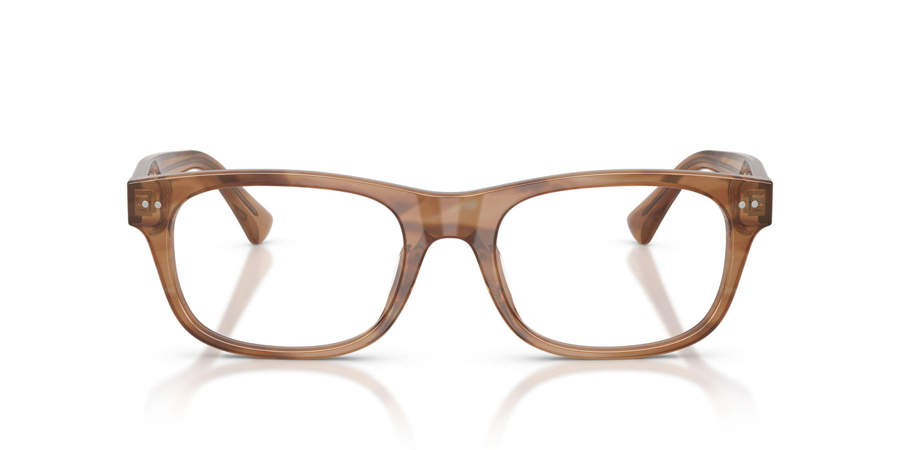6138 - Tortoise