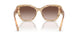 610613 - Brown - Gradient Brown