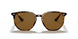 710/83 - Havana - Polar Brown
