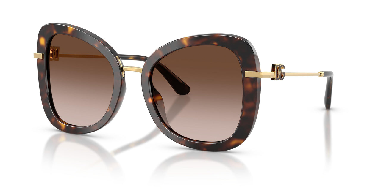 502/13 - Tortoise - Brown Gradient