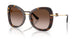 502/13 - Tortoise - Brown Gradient