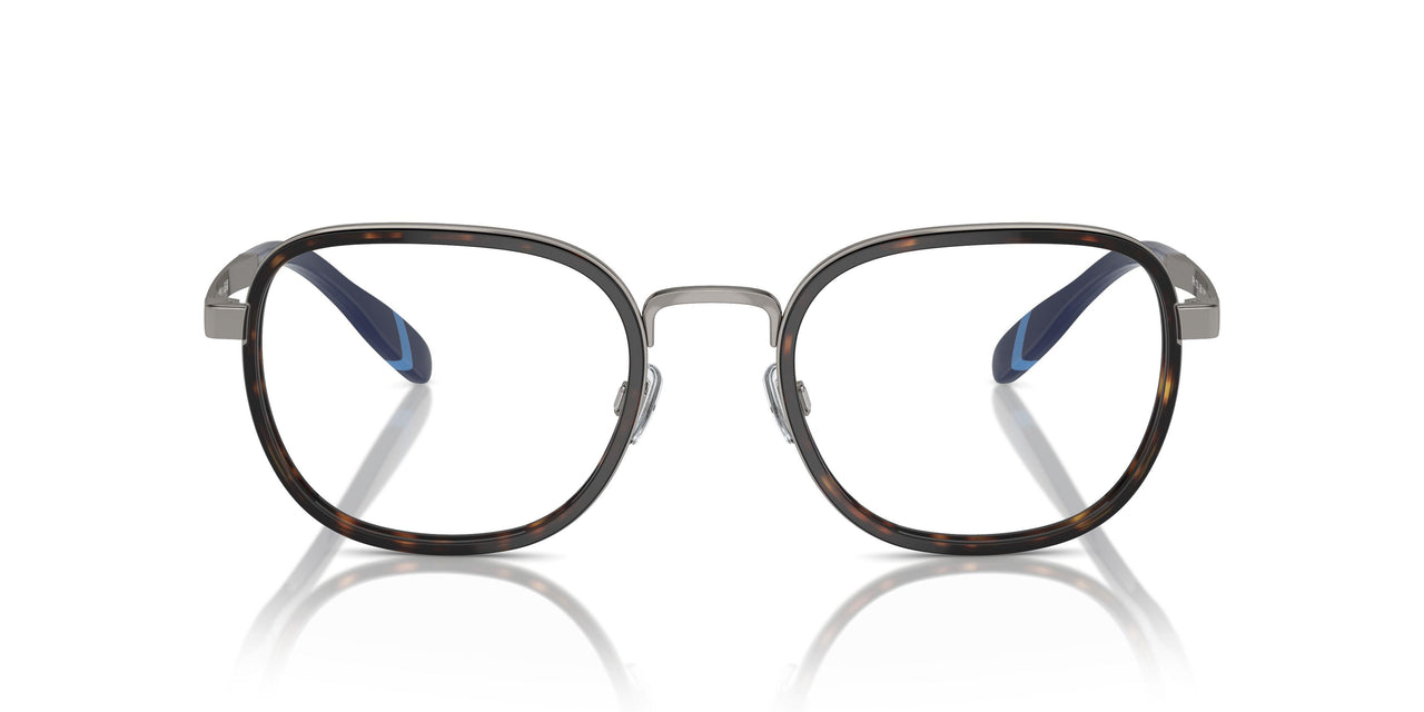 9261 - Tortoise