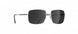 6560 - Ruthenium Black - SLM POL Grey