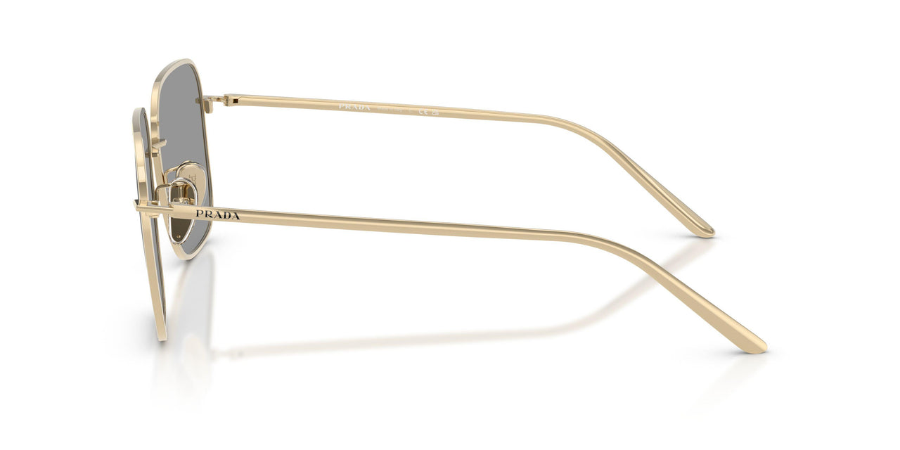 ZVN50Q - Gold - Grey