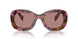 18N10D - Brown - Light Brown