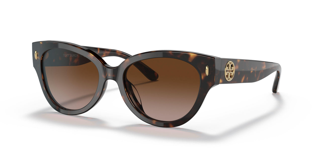172813 - Havana - Brown Gradient