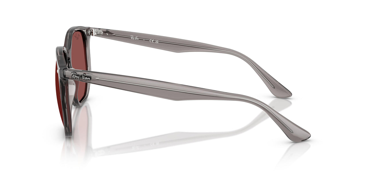 687375 - Grey - Dark Violet