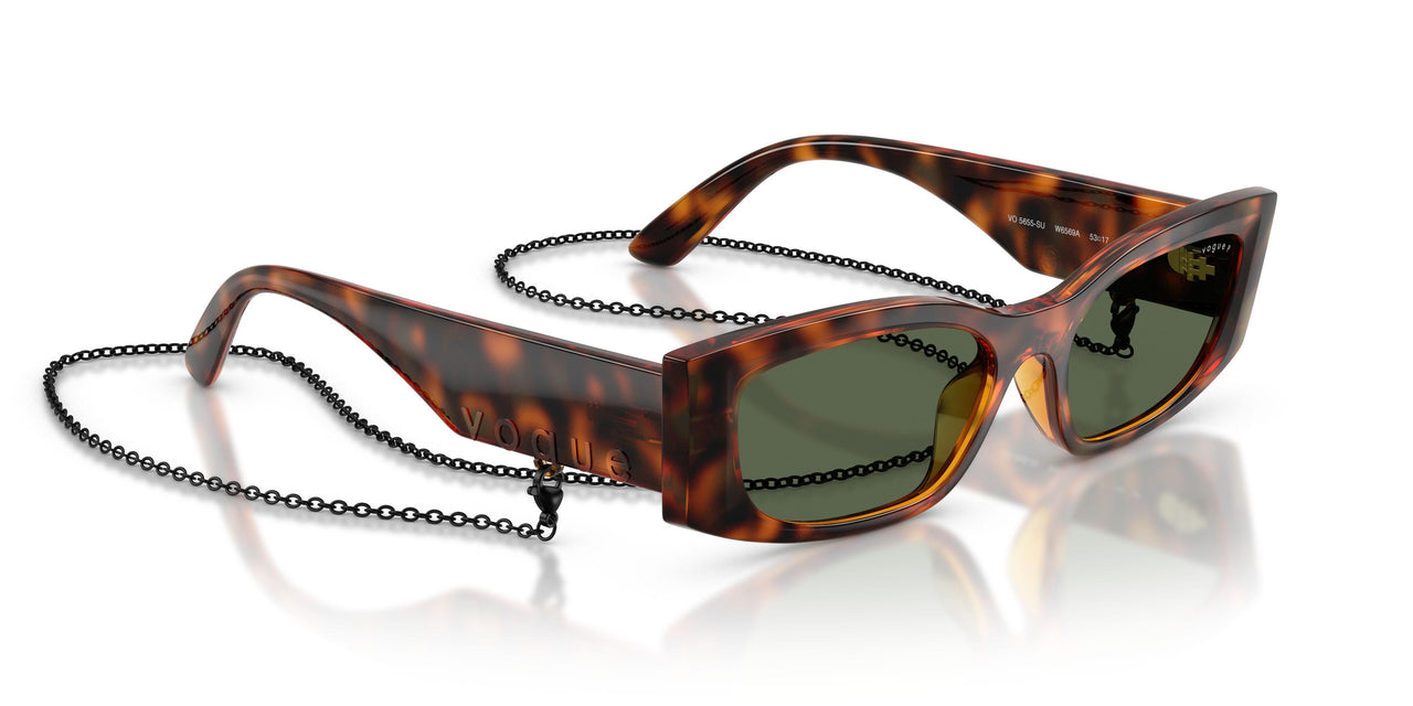 W6569A - Brown - Dark Green Polar