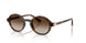 W65613 - Brown - Gradient Brown