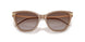 626313 - Brown - Gradient Brown