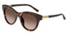 502/13 - Tortoise - Gradient Brown