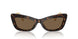 502/73 - Tortoise - Dark Brown