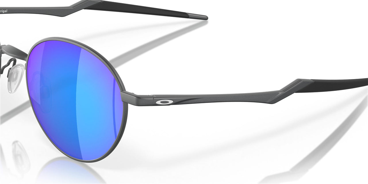 414605 - Grey - Prizm Sapphire Polarized