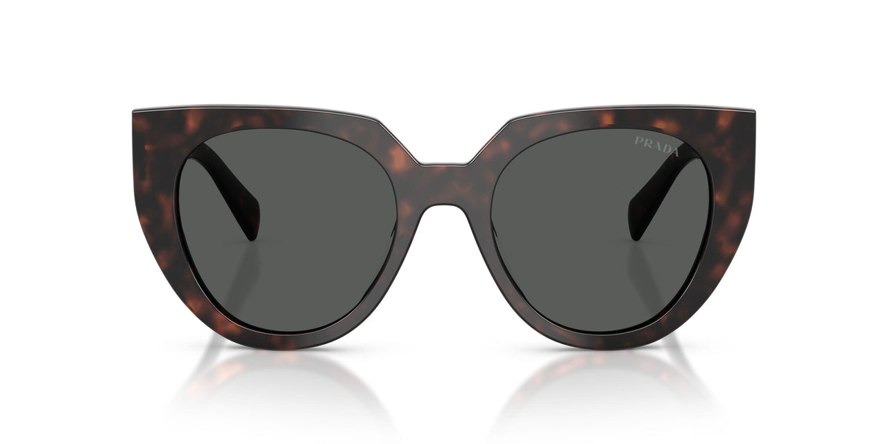 17N40L - Tortoise - Dark Grey