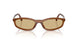 22I10R - Brown - Yellow