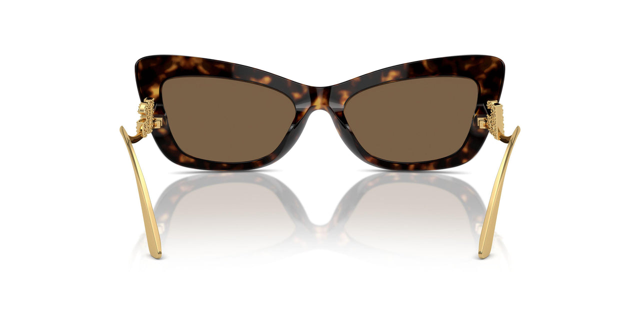 502/73 - Tortoise - Dark Brown