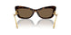 502/73 - Tortoise - Dark Brown
