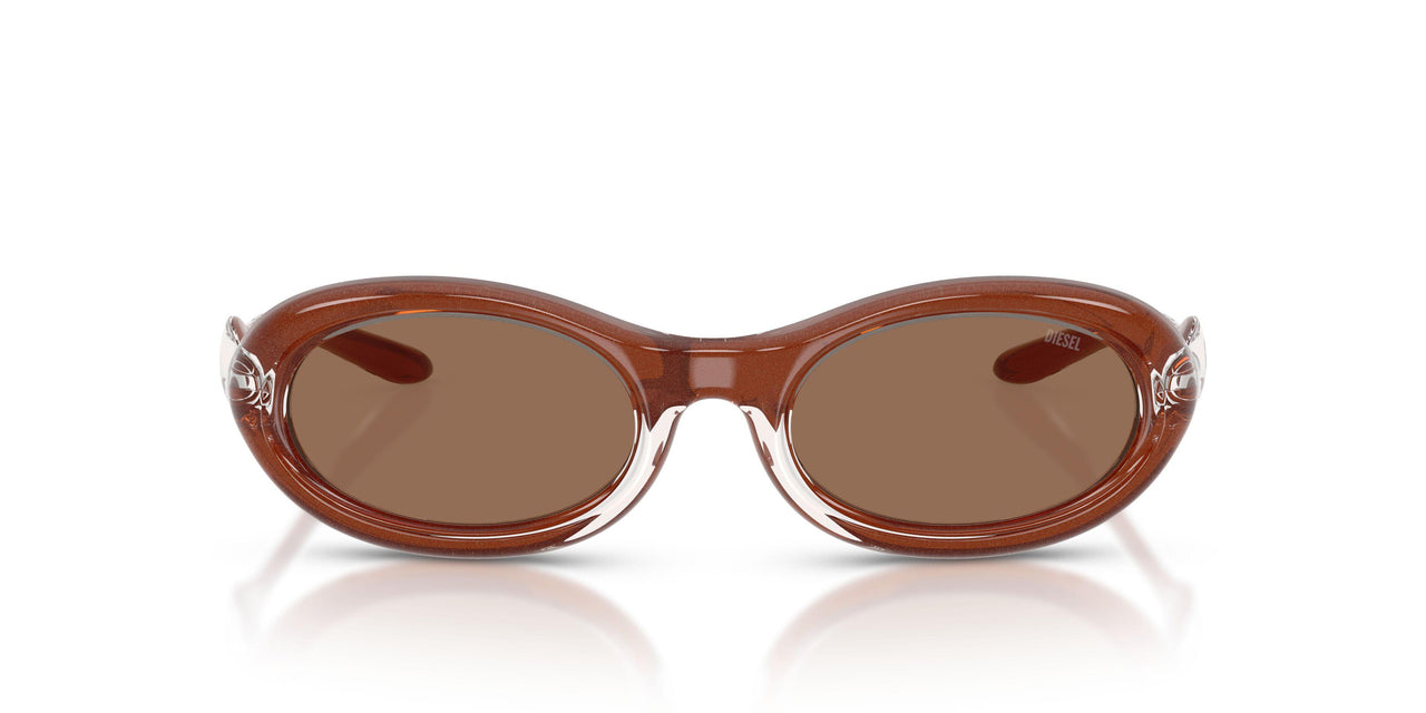 203373 - Clear - Dark Brown