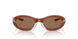203373 - Clear - Dark Brown
