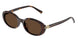 Tiffany 4242D Sunglasses
