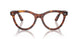 2144 - Brown - Clear