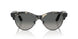 143371 - Havana - Grey Gradient