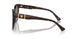 108/73 - Tortoise - Dark Brown