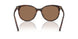 502/13 - Tortoise - Dark Brown