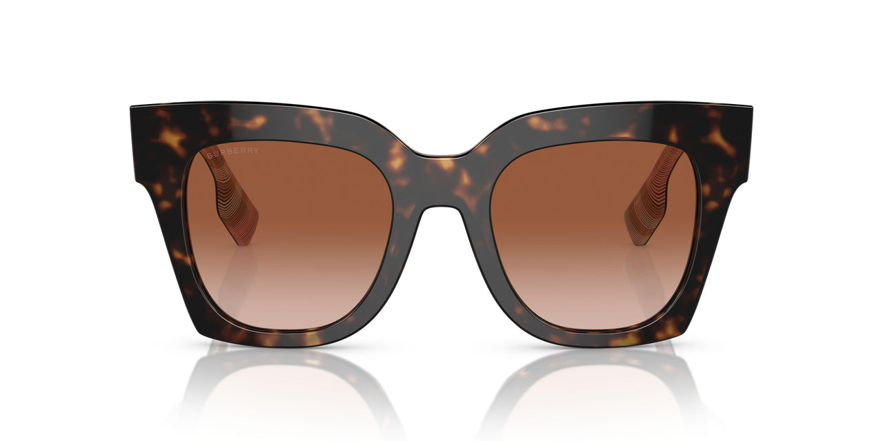 407513 - Brown - Brown Gradient