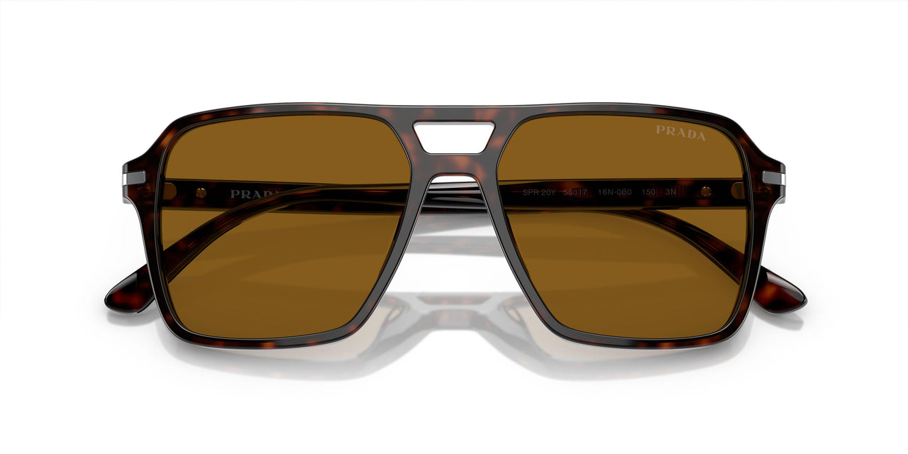 16N0B0 - Tortoise - Brown