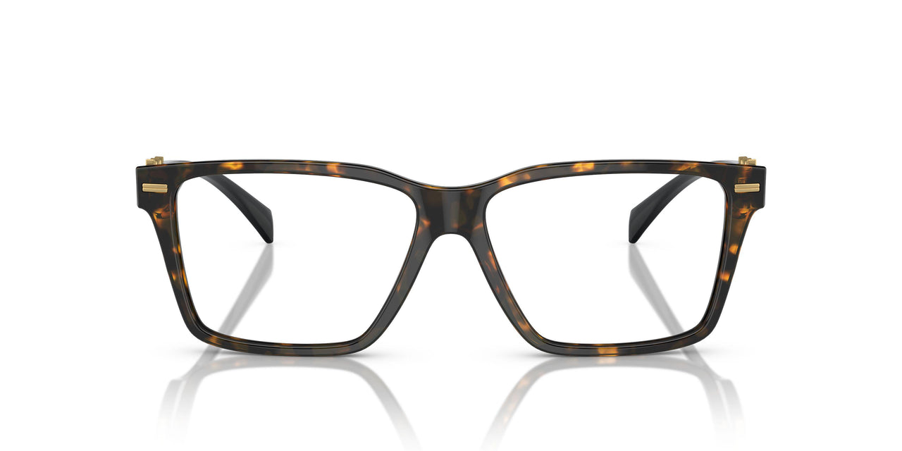 5404 - Tortoise