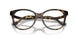 5120 - Tortoise